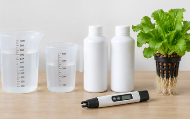 A+B fertilizer vs one-part nutrients: two-part nutrient bottles, measuring jugs and an EC pen next to a healthy plant in a hydro net pot