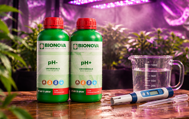 ph for plants – Bionova pH- and pH+ bottles next to a pH meter and measuring jug in a grow tent with purple LED light