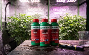 yellow leaves plants – Bionova N 27, MgO 10 and Micromix next to a pH EC meter and measuring jug in a grow tent