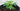 Living soil: dark, crumbly soil in a fabric pot with a healthy young plant