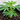 Living soil: dark, crumbly soil in a fabric pot with a healthy young plant