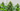 PK 13-14 for flowering plants: healthy flowering plant with dense buds in daylight