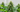 PK 13-14 for flowering plants: healthy flowering plant with dense buds in daylight