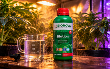silicon for plants – Bionova Silution stimulator next to a measuring jug and dropper in a grow tent with amber and purple light