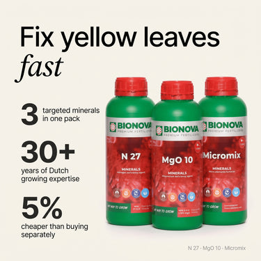 SOS Yellow Leaves Pack