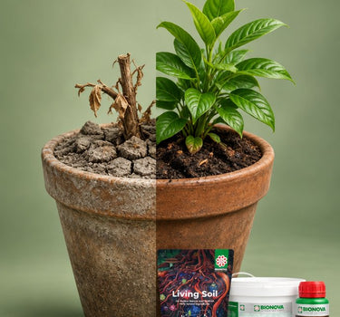 Soil Improver Pack