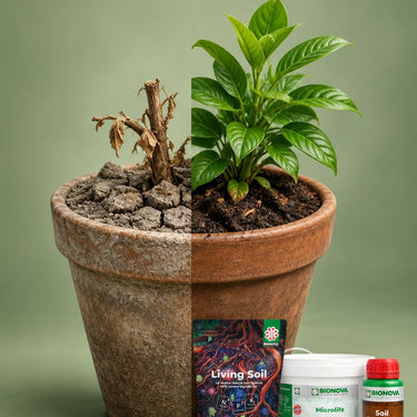 Soil Improver Pack